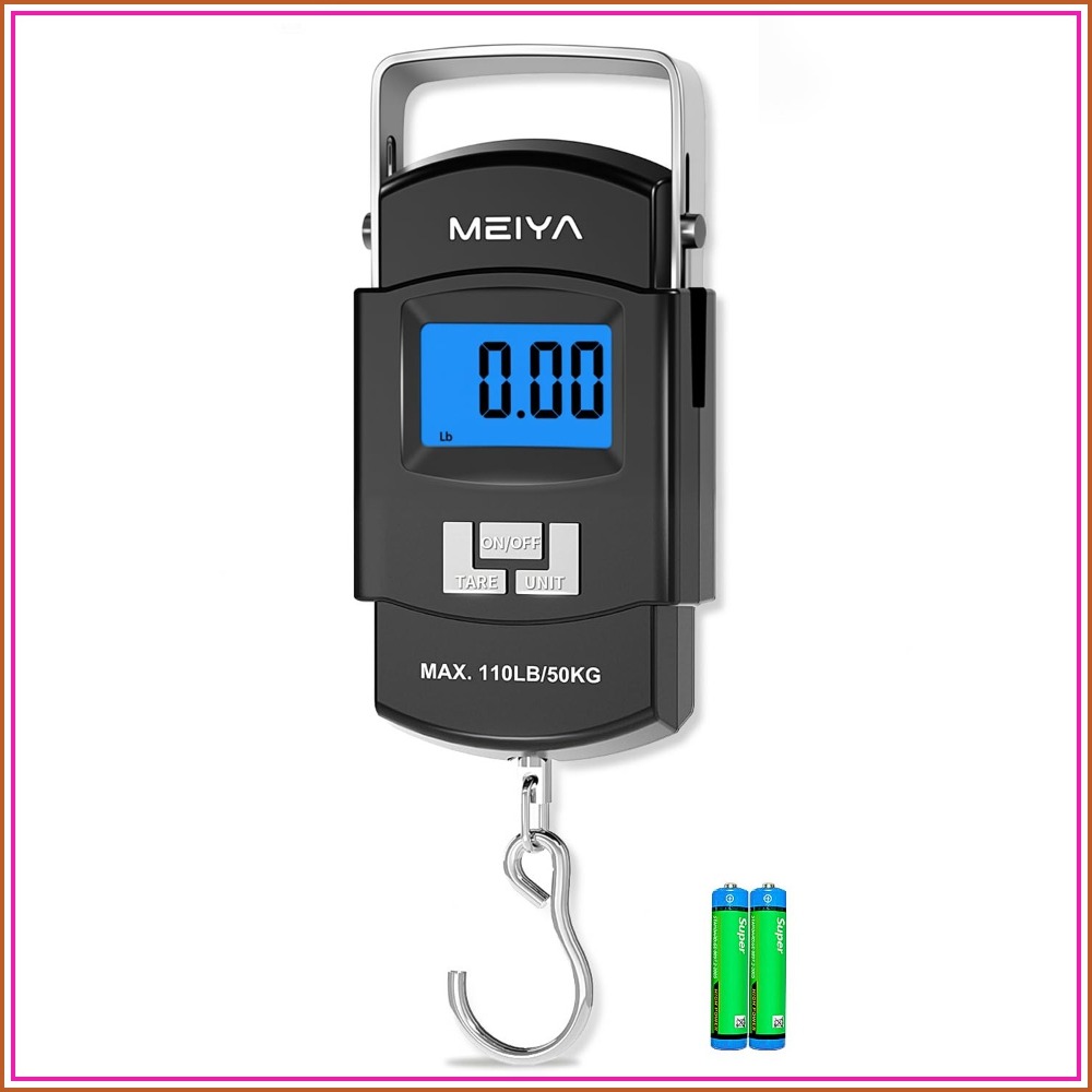 Digital Fishing Scale 110lb/50 - Fishing Hook Stainless Steel のレビューと価格