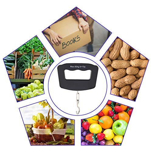 50kg Portable Handheld Digital - Fishing Hook Stainless Steel のレビューと価格