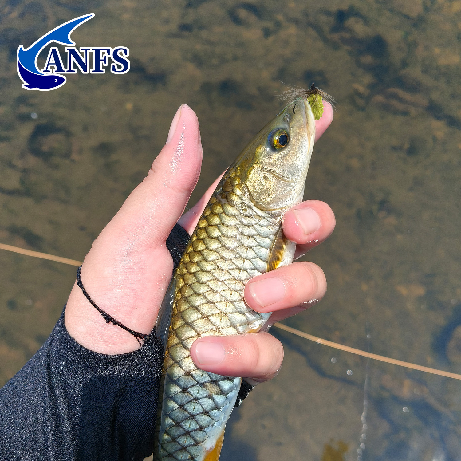ANFS 10pcs Mop Fly Assorted Co - Fishing Hook Assortment のレビューと価格